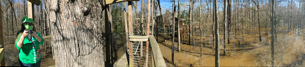 Karen Duquette and the  suspension bridge